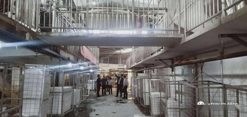 綠色包裝與節能保溫材料項目成功簽約，金屬裝飾材料零售市場迎新機